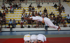 Tournoi Bushido