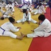 photo 3 (2)