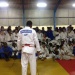 photo 1 (6)