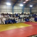 photo 3 (6)