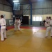 photo 1 (5)
